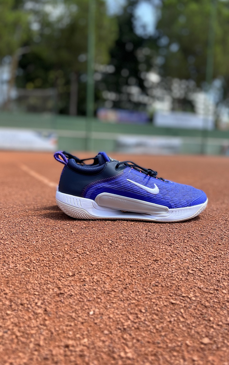 NikeCourt Zoom NXT Erkek Toprak Kort