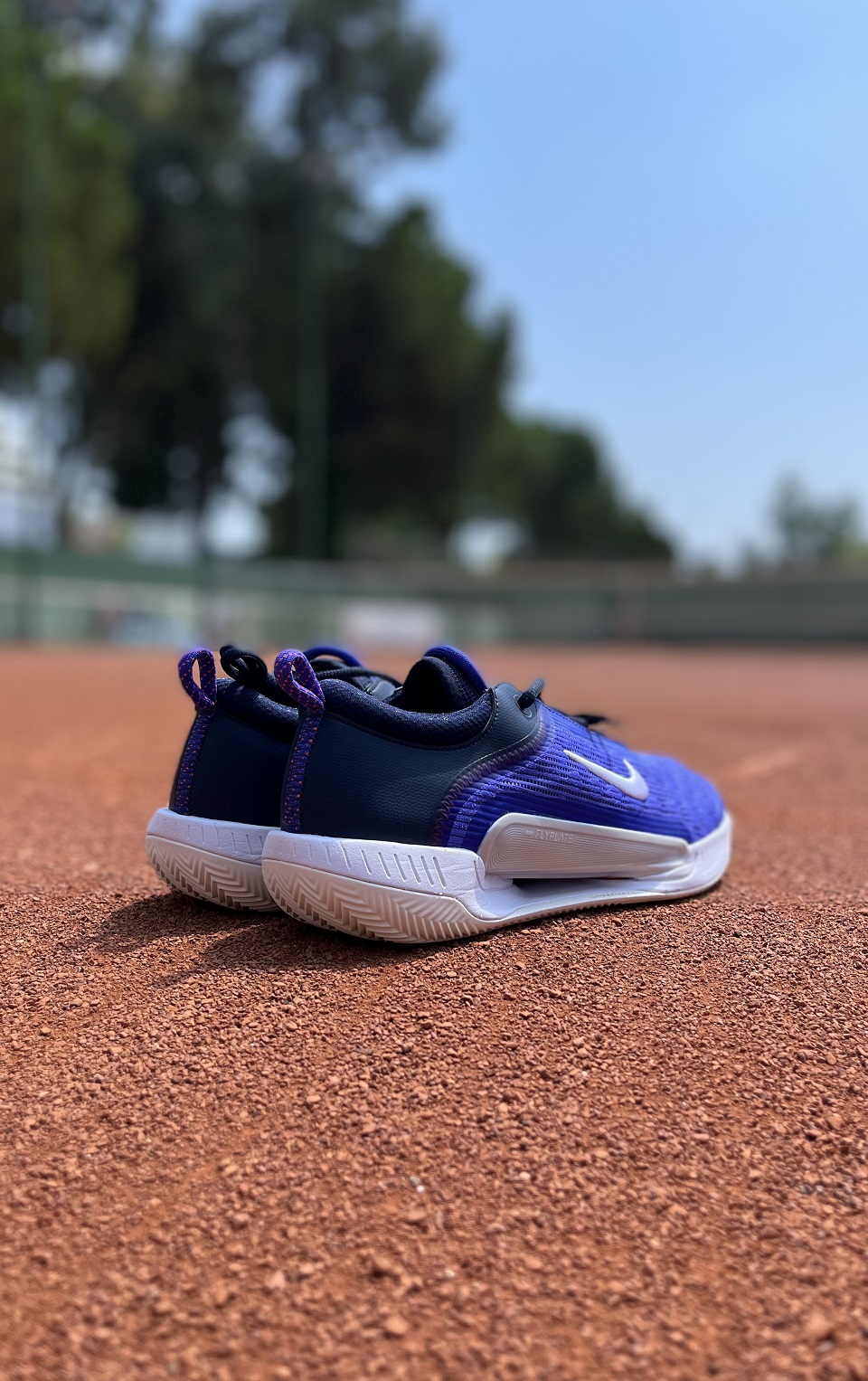 NikeCourt Zoom NXT Erkek Toprak Kort